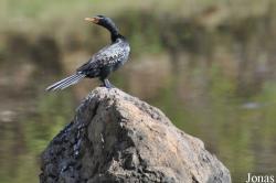 Arusha National Park