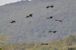 Arusha National Park