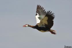 Arusha National Park