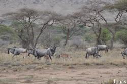 Enduimet Wildlife Management Area