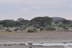 Enduimet Wildlife Management Area