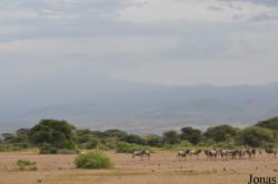 Enduimet Wildlife Management Area