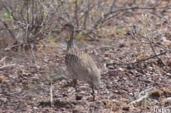 Enduimet Wildlife Management Area
