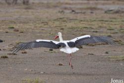 Enduimet Wildlife Management Area