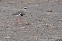 Enduimet Wildlife Management Area