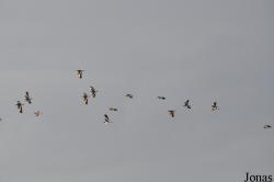 Enduimet Wildlife Management Area