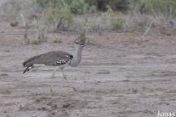 Enduimet Wildlife Management Area