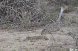 Enduimet Wildlife Management Area