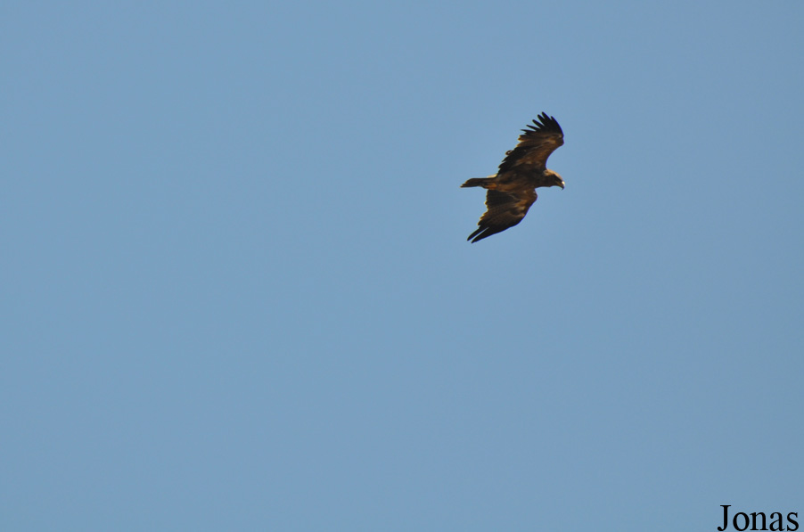 Enduimet Wildlife Management Area