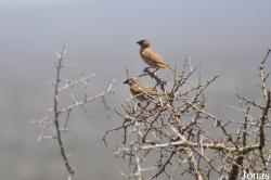Enduimet Wildlife Management Area
