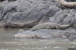 Awash National Park