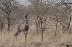 Awash National Park