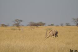 Awash National Park