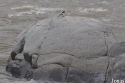 Awash National Park