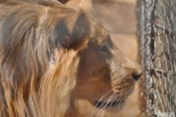 Ensessakotteh Wildlife Rescue, Conservation and Education Centre