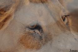 Ensessakotteh Wildlife Rescue, Conservation and Education Centre