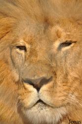 Ensessakotteh Wildlife Rescue, Conservation and Education Centre