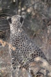Ensessakotteh Wildlife Rescue, Conservation and Education Centre