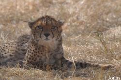 Ensessakotteh Wildlife Rescue, Conservation and Education Centre