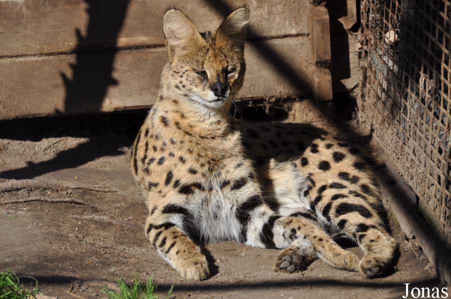 Zoo Chleby