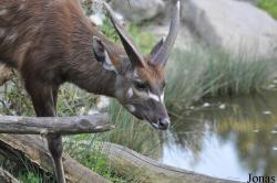 Zoo Praha