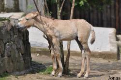 Zoo Praha