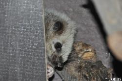 Zoo Praha