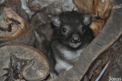 Zoo Praha