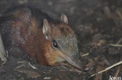 Zoo Praha