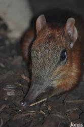 Zoo Praha