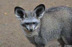 Zoo Praha