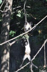 Zoo Praha