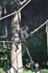 Zoo Praha
