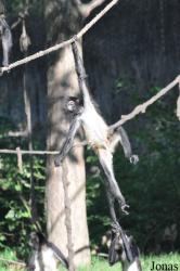 Zoo Praha