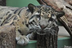 Zoo Praha