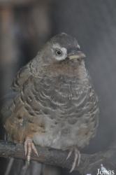 Zoo Praha