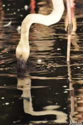 Zoo Praha