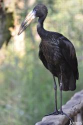 Zoo Praha