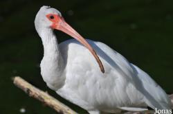 Zoo Praha