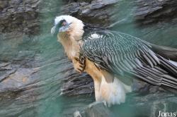 Zoo Praha