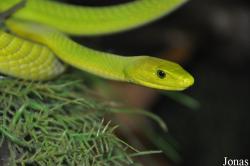 Parc Zoologique et Vivarium du Bois du Petit Château