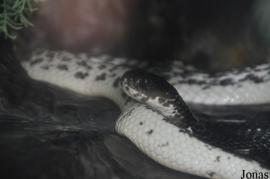 Parc Zoologique et Vivarium du Bois du Petit Château