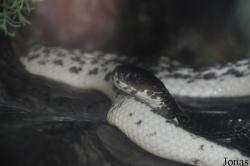 Parc Zoologique et Vivarium du Bois du Petit Château