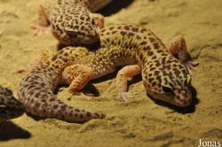 Zoo La Garenne
