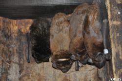 Zoo La Garenne