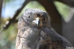 Zoo La Garenne