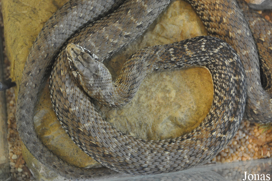 Éco-Musée Vivant de Provence