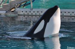 Marineland d’Antibes