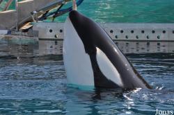 Marineland d’Antibes