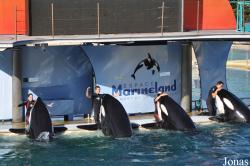 Marineland d’Antibes